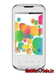 White Celkon A77