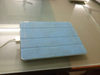 Black Apple iPad2