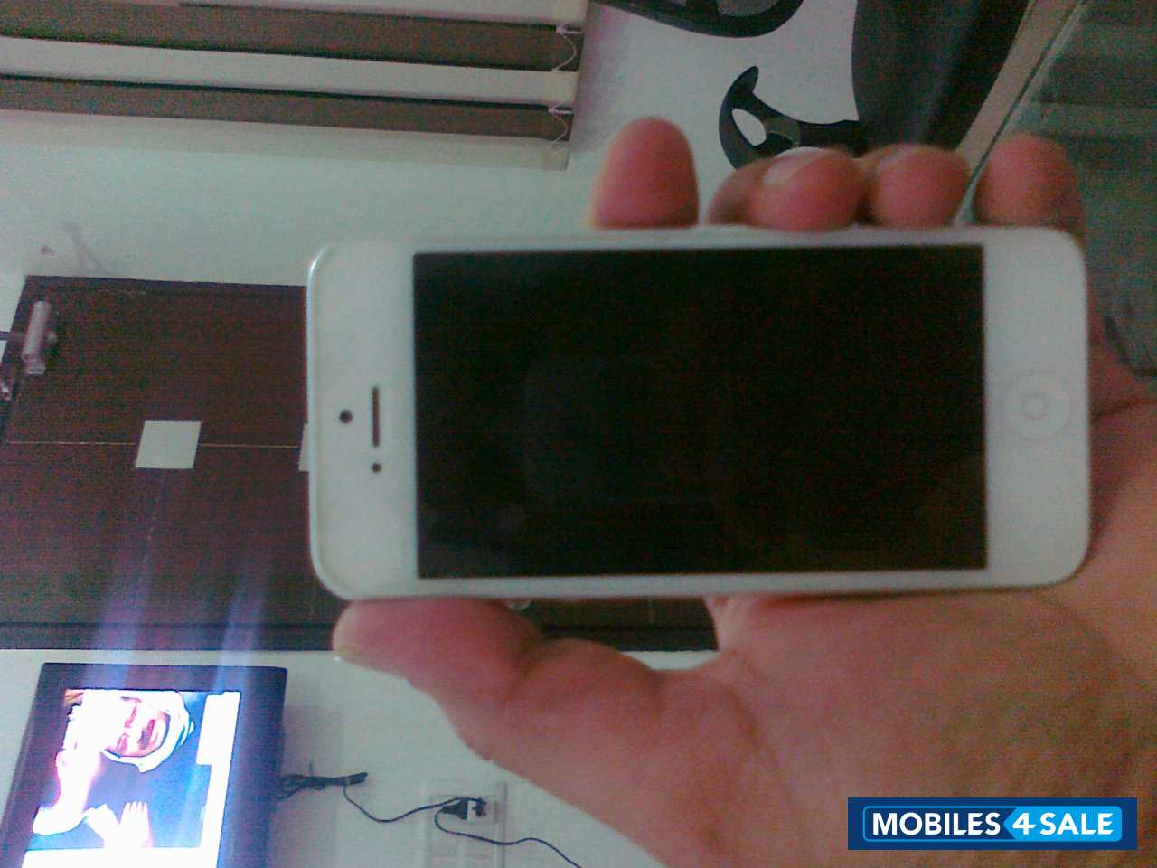 White Apple iPhone 5