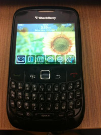 Black BlackBerry Curve 8520