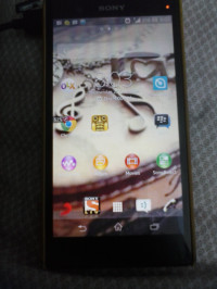 Black Sony Xperia Z