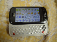 Black With White Keypad LG GT350