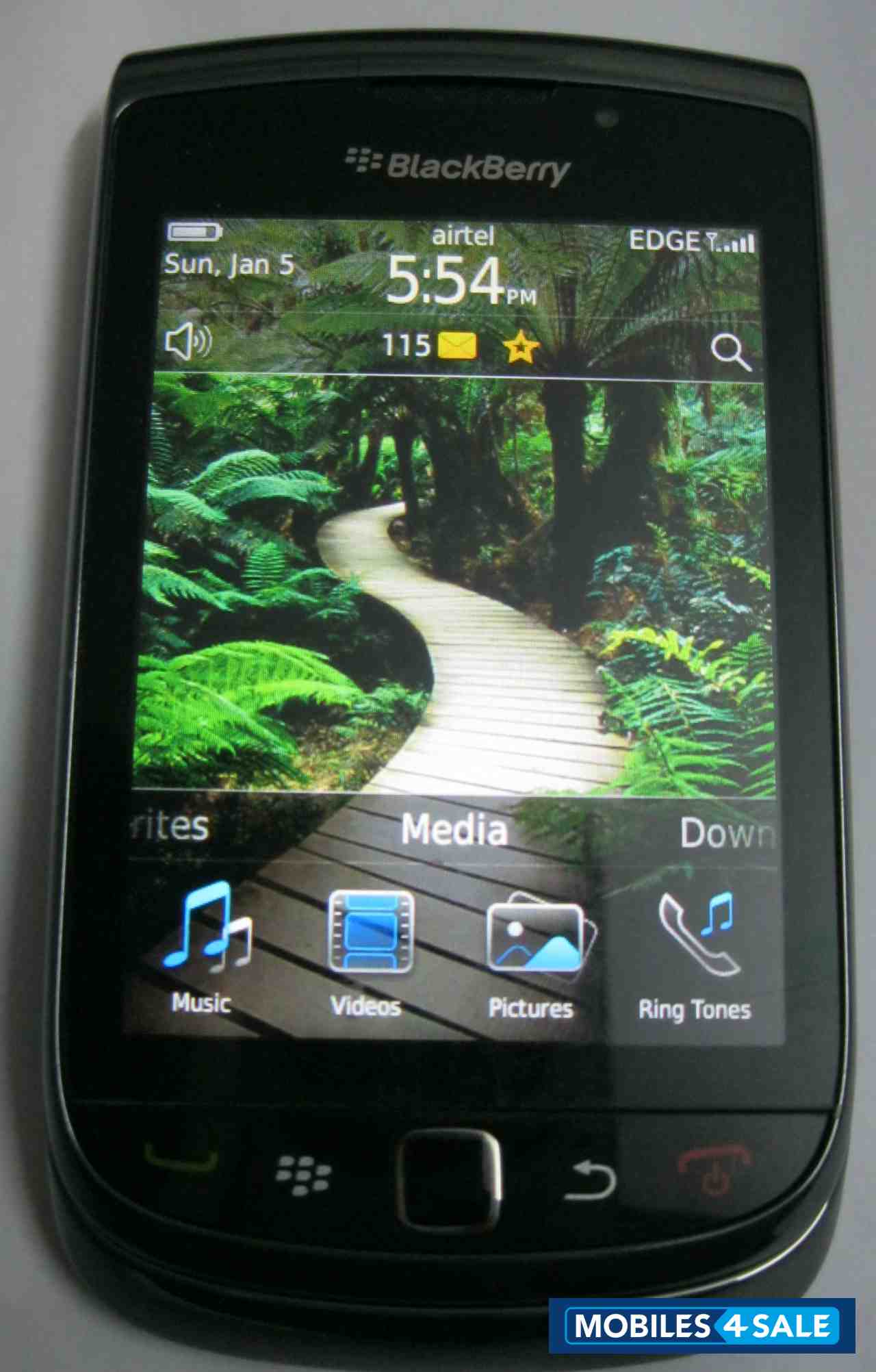 Black BlackBerry Torch 9800