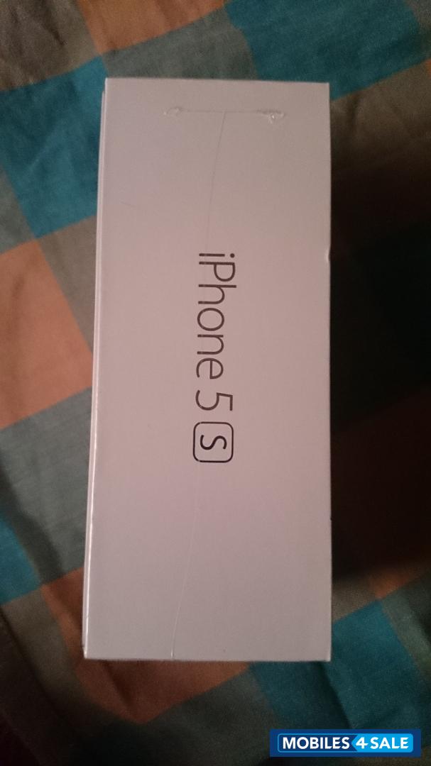 Silver Apple iPhone 5S