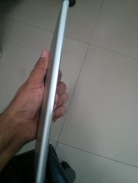 White, Silver Apple iPad mini