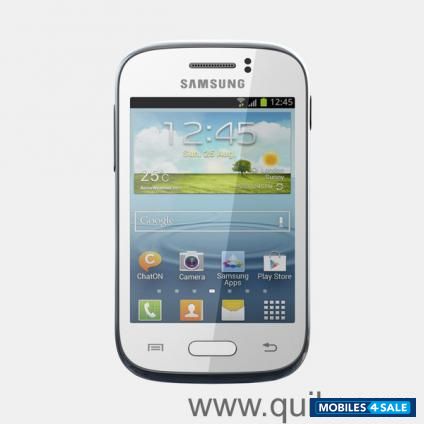 Metallic Silverr Samsung Galaxy Young Duos GT-S6312