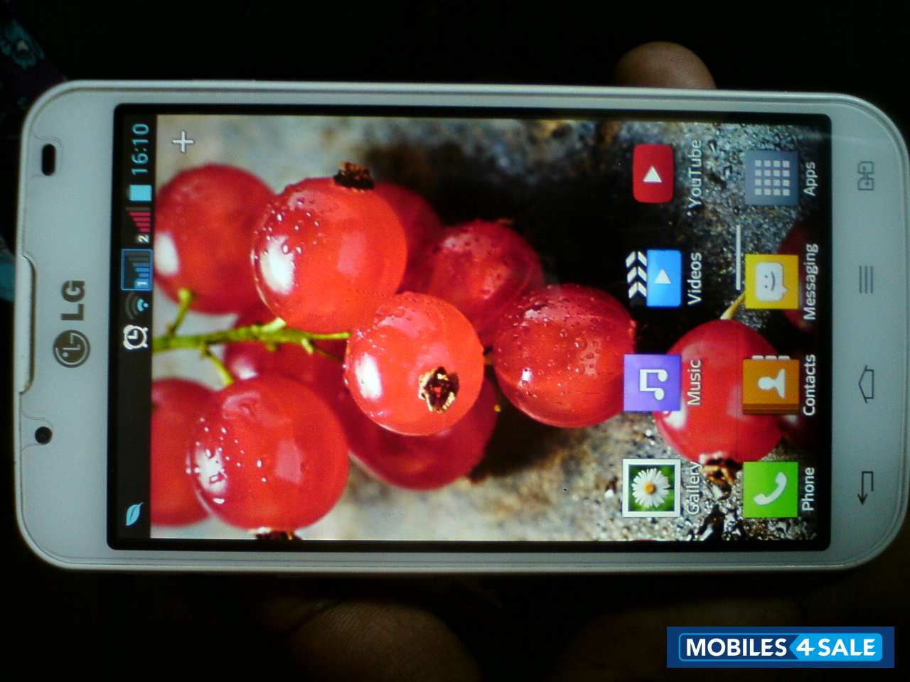 White LG Optimus L7 II Dual P715