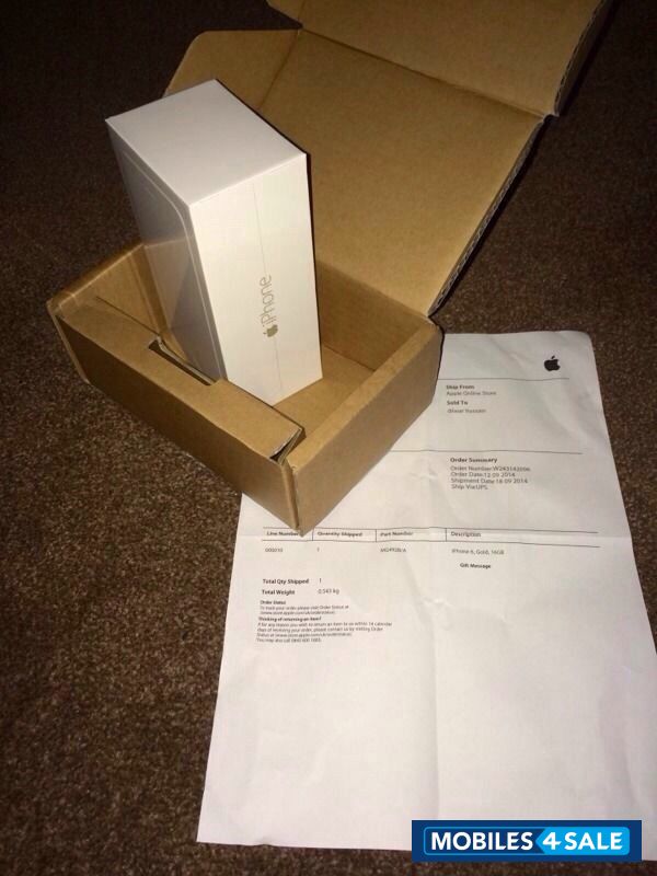 Silver Apple iPhone 6 Plus