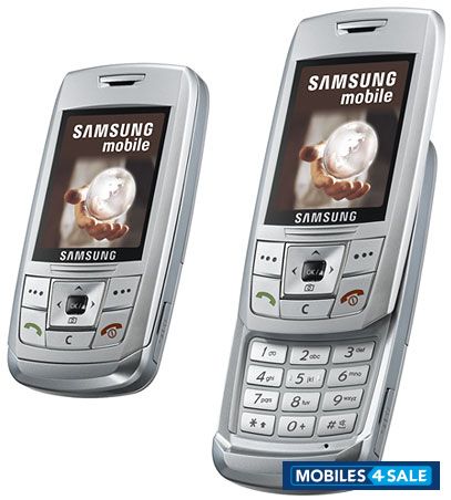 White Samsung SGH-E250