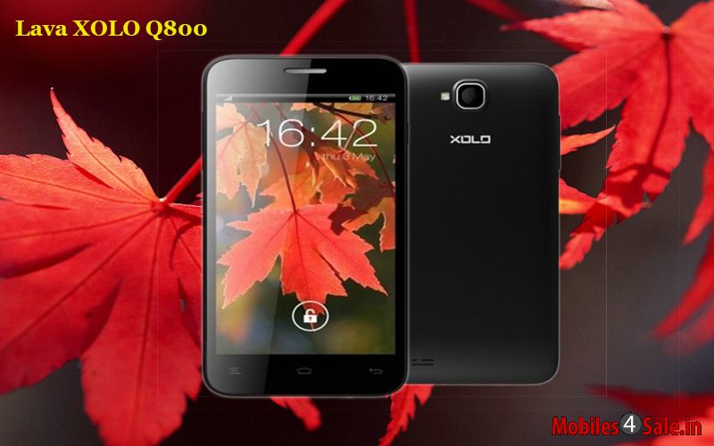 XOLO Q800